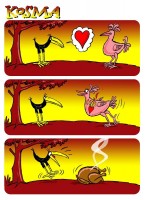 /album/kosma/ptak-kosma-6-jpg/